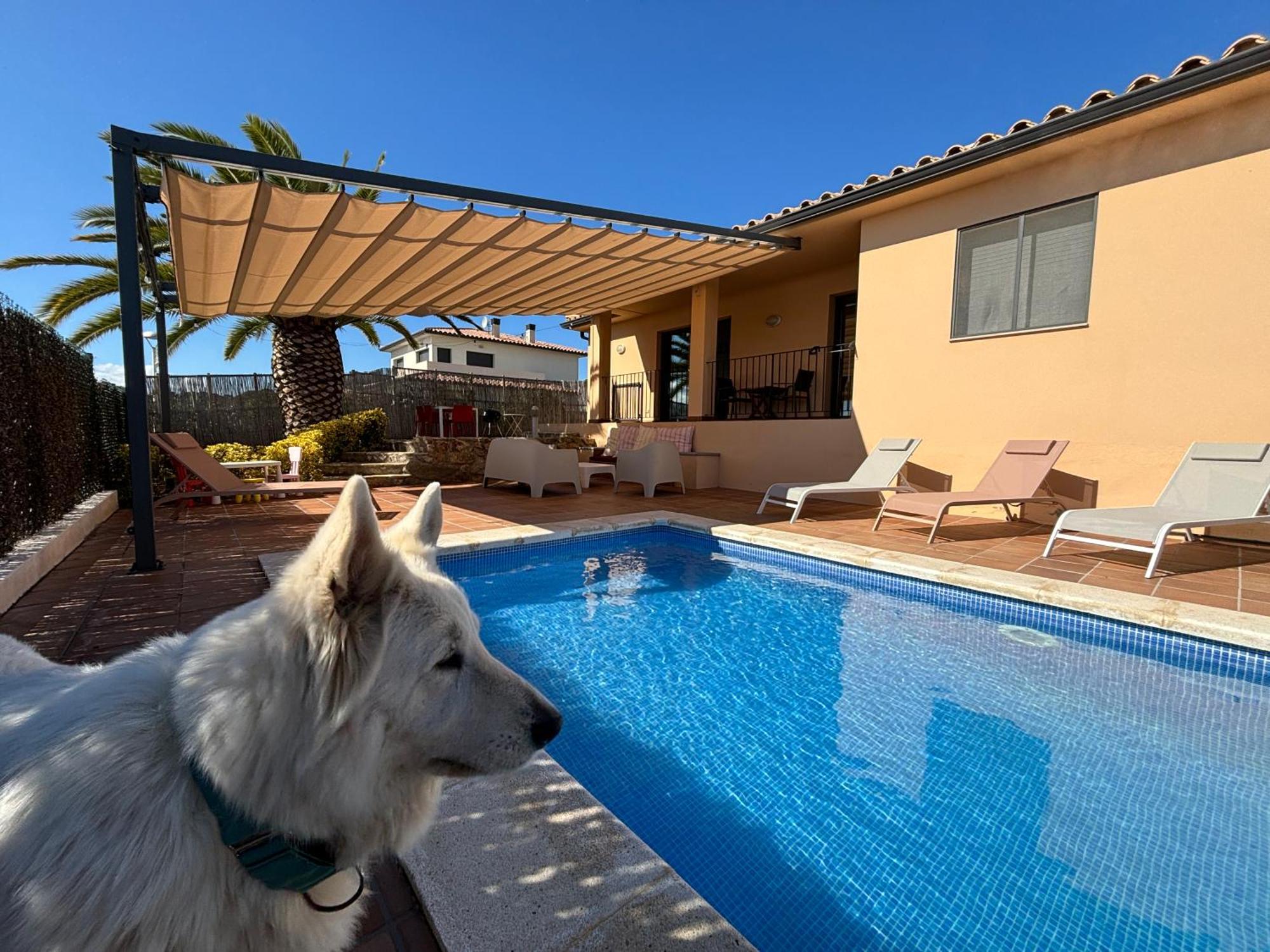 Villas Medes Mar - Plus Costa Brava L'Estartit Exterior foto
